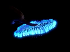 हेंग चेंग इलेक्ट्रॉनिक्स टेक्नोलॉजी (HK) कं, लिमिटेड